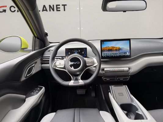 BYD Dolphin Surf Comfort