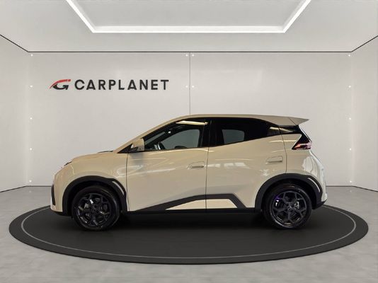 BYD Dolphin Surf Comfort