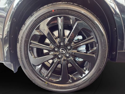 Mazda CX-60 2.5 PHEV 327 PS Homura Plus AWD