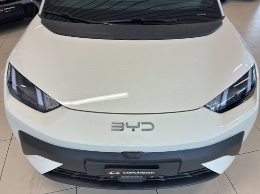 BYD Dolphin Surf Comfort