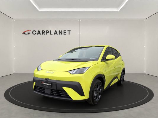 BYD Dolphin Surf Comfort