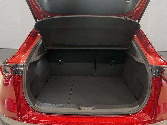 Mazda CX-30 2.5 140 PS Exclusive-Line BOSE FWD Automat