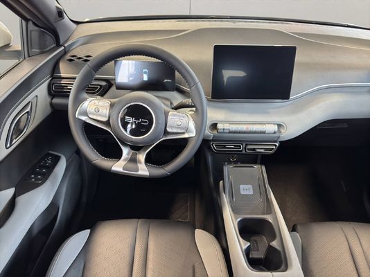 BYD Dolphin Surf Comfort