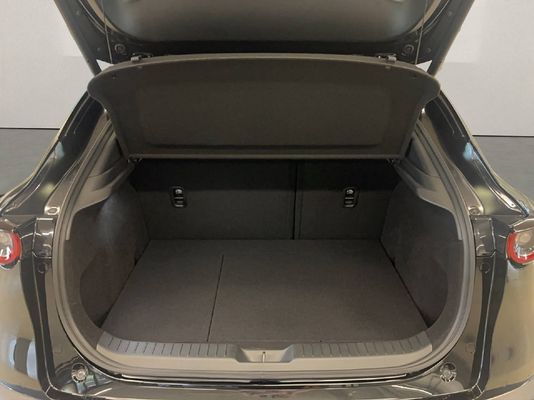 Mazda CX-30 2.0 186 PS Homura AWD Automat