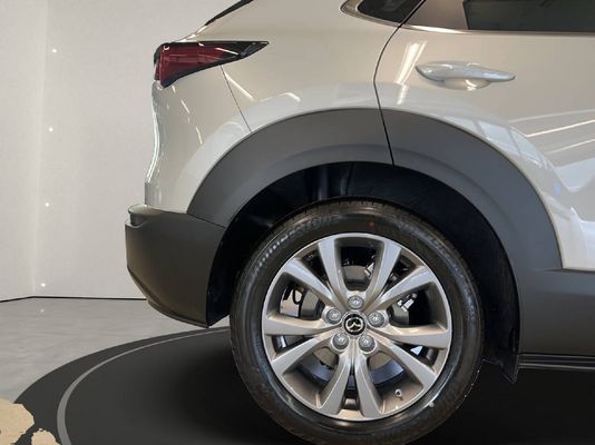 Mazda CX-30 2.0 186 PS Exclusive-Line AWD BOSE