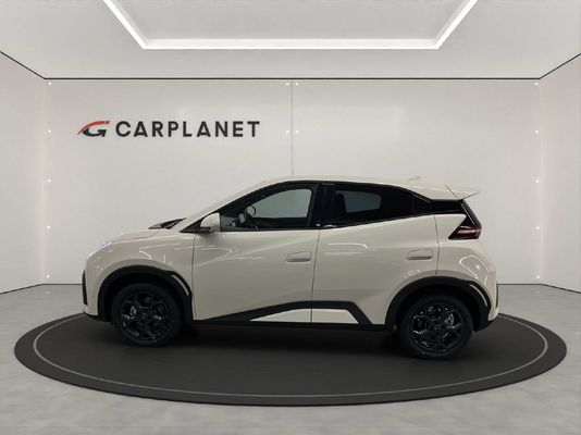 BYD Dolphin Surf Comfort CH FAHRZEUG