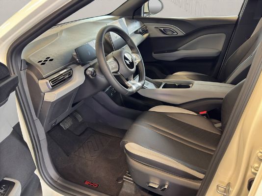 BYD Dolphin Surf Comfort