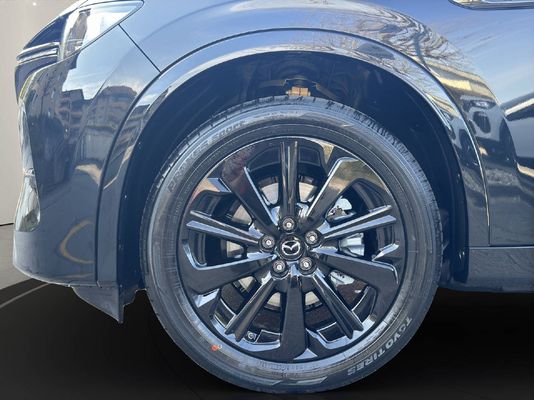 Mazda CX-60 3.3 D 254 PS Homura Plus AWD