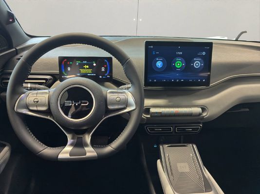 BYD Dolphin Surf Comfort