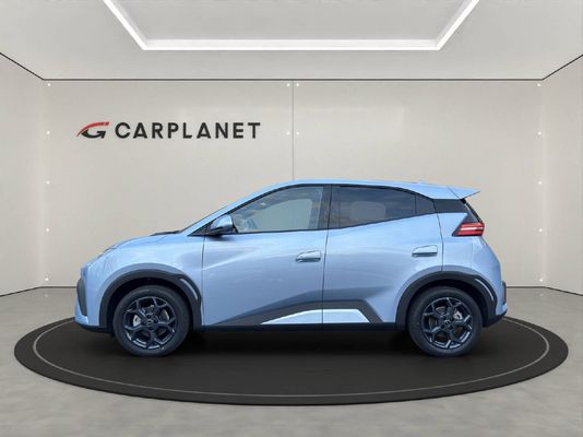 BYD Dolphin Surf Comfort