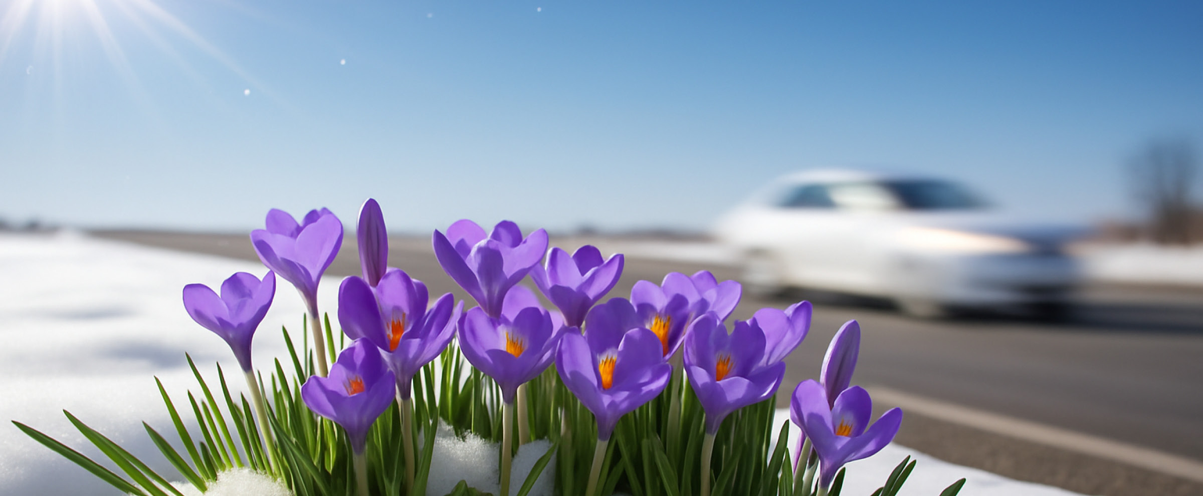 Freiheit erwacht bei CARPLANET