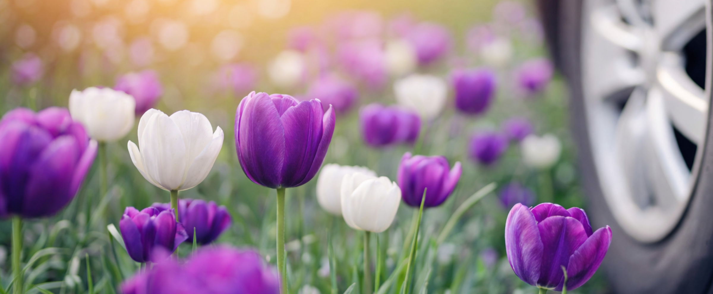 Events bei CARPLANET